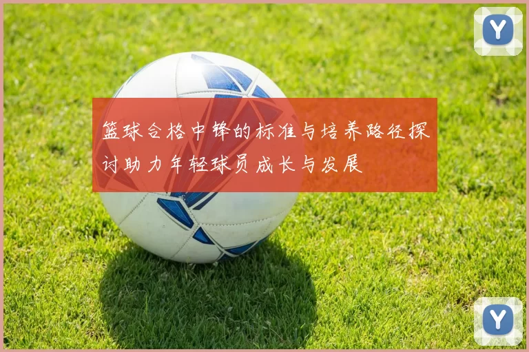 篮球合格中锋的标准与培养路径探讨助力年轻球员成长与发展
