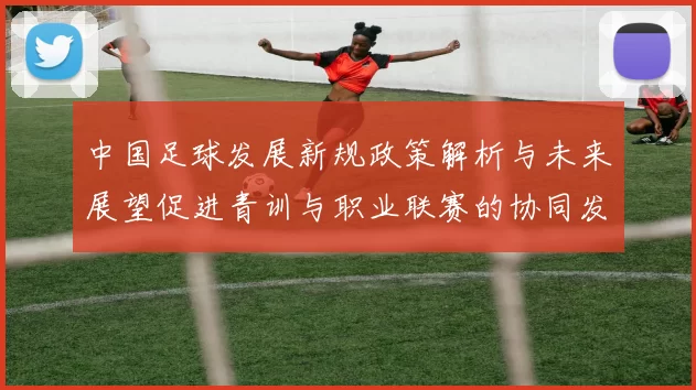 中国足球发展新规政策解析与未来展望促进青训与职业联赛的协同发展